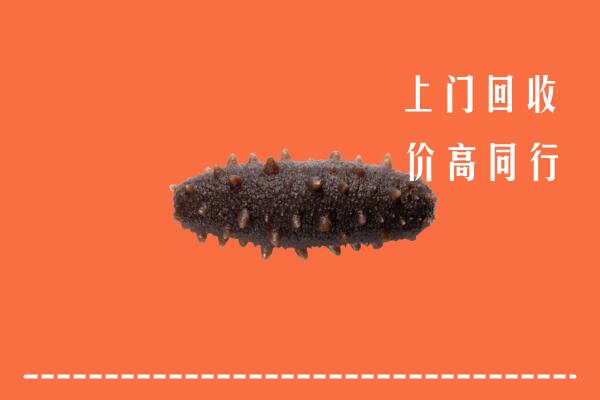 高价求购：冷水滩区回收海参