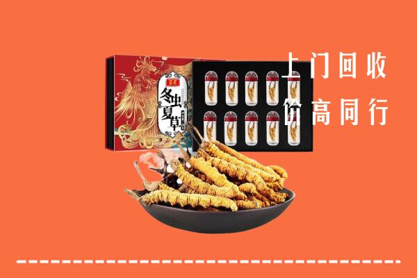 冷水滩区回收虫草